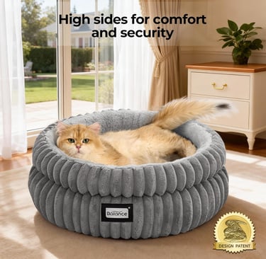 Cat sleeping in a bed.