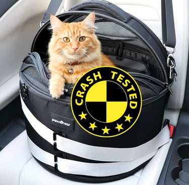 Cat Car Bed