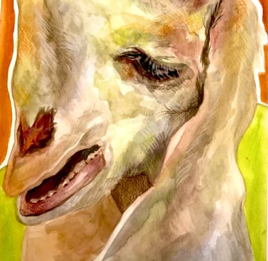 Watercolours and Colouring Pencils, A4