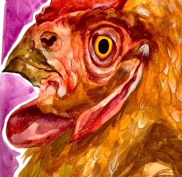 Watercolours and Colouring Pencils, A4