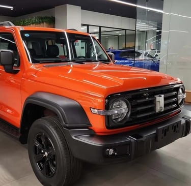 tnak 300 laranja gwm