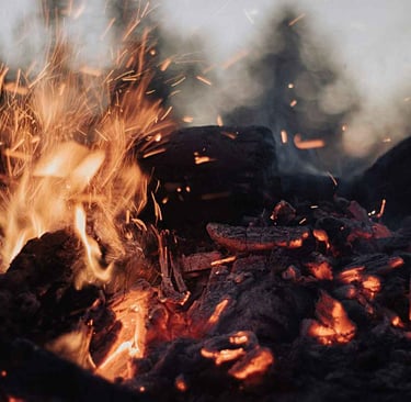 Premium Charcoal for BBQ