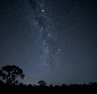 Breathtaking night sky showing the Milky Way galaxy stars over a dark forest silhouette.