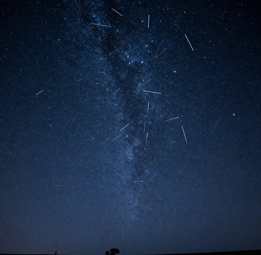 A vibrant meteor shower streaks across the dark night sky over a silhouette of a single tree and the Milky Way galaxy.