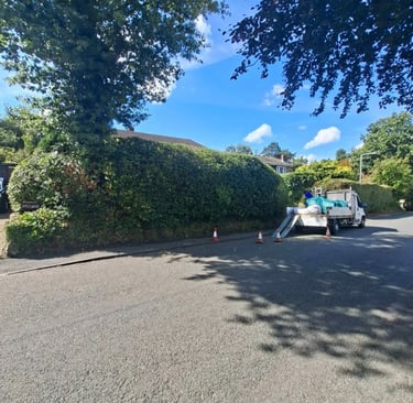 large hedge cutting in Crowborough, East Sussex