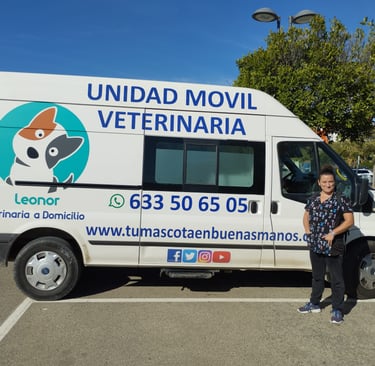 a woman standing in front of a van with a dog on it