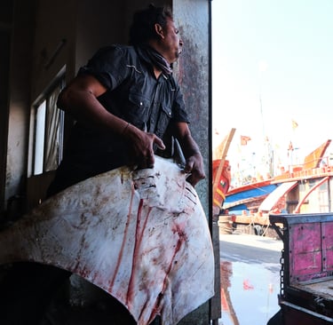A fisherman carrying a large stingray ray at a busy seafood market harbor with boats.
