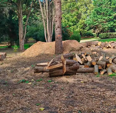 Bois billonné en plusieurs endroit
