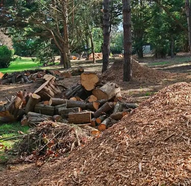 Tas de copeaux et de bois en sous bois