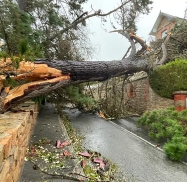 Un arbre cassé sur habitation par Ciaran