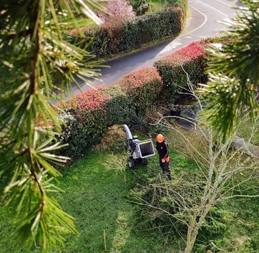broyage de branche vue depuis l'élagueur dans l'arbre