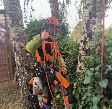 arboriste équipé pour la grimpe au pied de l'arbre