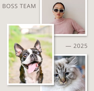 Boss Team