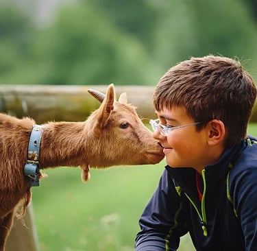 viande et conscience