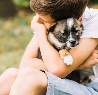 a boy is holding a puppy