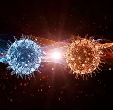 Cloning organs