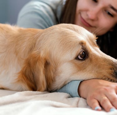 a woman laying on a bed with her dog