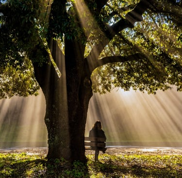 a person sitting on a bench in the sun alone