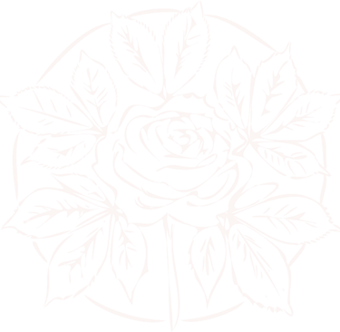 Hand-drawn illustration of a rose with chestnut petals