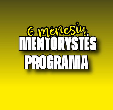 Mentorystės programa – komunikacija, SEO ir socialiniai tinklai