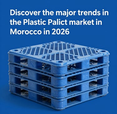 Palette Plastique au Maroc
