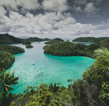 vue sur le lagon mauricien avec eau turquoise