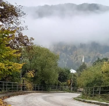 a road with a fenced-in area with trees a metaphor for a new journey to a better health