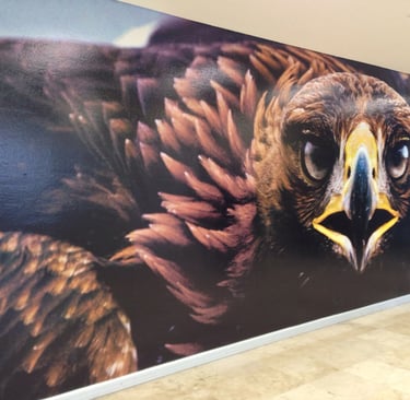 vinil adhesivo para negocios  rotulación con vinil en cristales rotulación en vinil para negocios