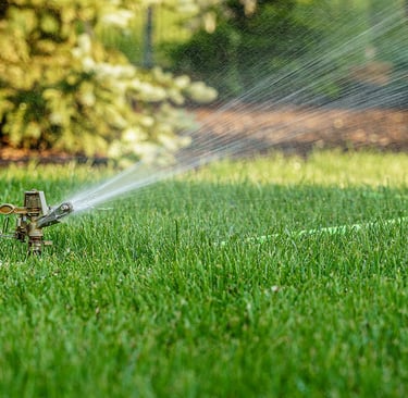 Lawn services in Bangalore by Mygreenearth