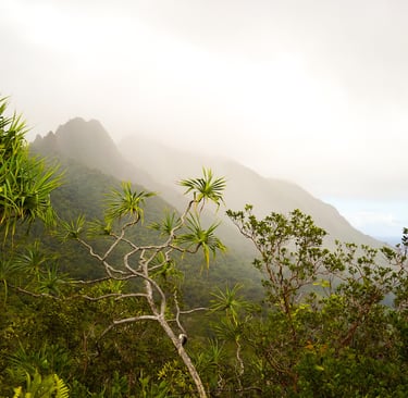 Europe elopement Photographer