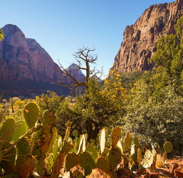 getting married while traveling