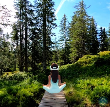visuel illustratif de relaxation immersive VR avec des paysages naturels