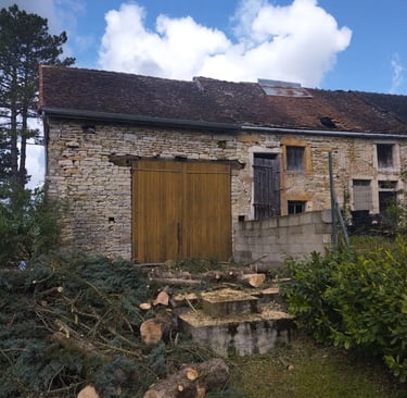 abattage délicat abre après