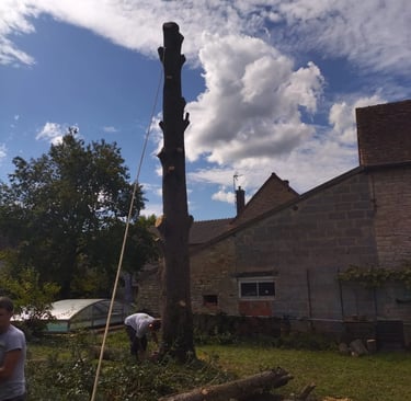 abattage délicat st gengoux le national