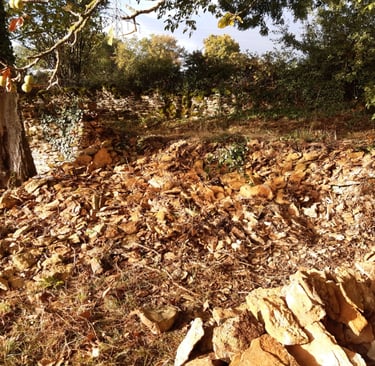 cluny paysagiste maçonnerie