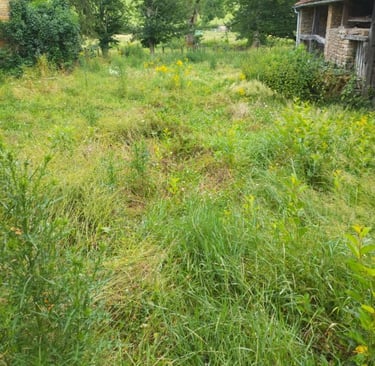 jardinage entretien maison secondaire paysagiste à cluny 71