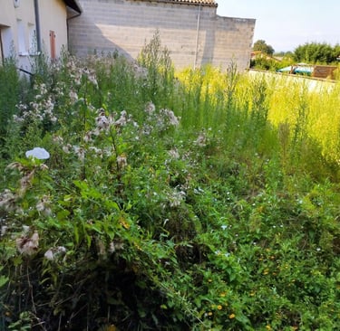 débroussaillage jardin à cluny saone et loire