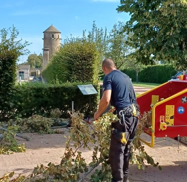 elagage apres tempête à cluny