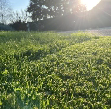 jardin paysager cluny 71