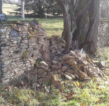 cluny paysagiste mur