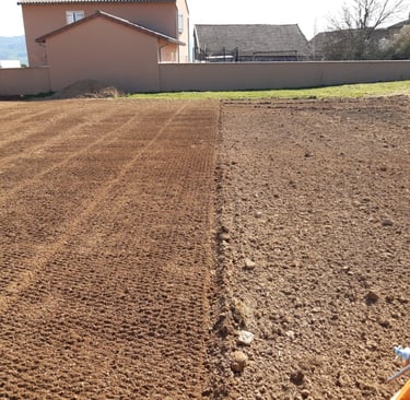 semis pelouse à cluny
