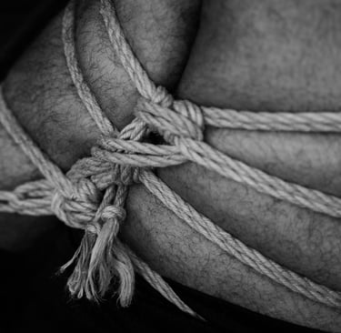 Photo by <a href="https://unsplash.com/@warmorange?utm_source=unsplash&utm_medium=referral&utm_conte