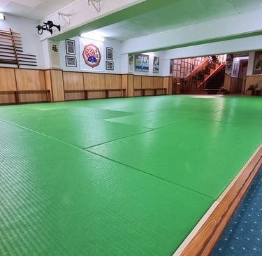 Jiushin Kan | Jiu-Jitsu | Martial Arts | Dojo | Malta