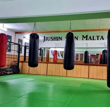 Jiushin Kan | Jiu-Jitsu | Martial Arts | Dojo | Malta