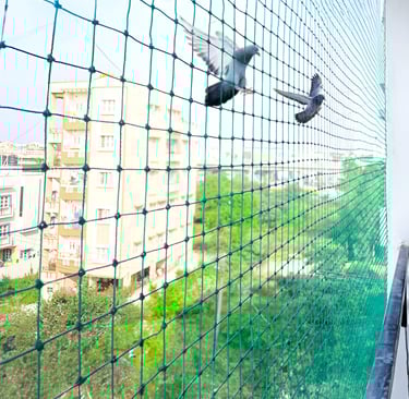 Pigeon Nets in bengaluru