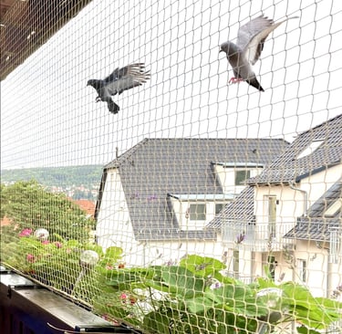 pigeon nets in bengaluru