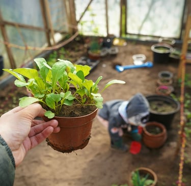 A hand holding a potted green plant seedling in a sunny garden greenhouse with a child playing.