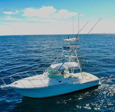 Cabo express 35 sport fishing yacht 
