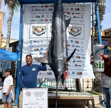 yate viking 44 pesca deportiva cabo san lucas torneo pesca bisbees marlin ganador
