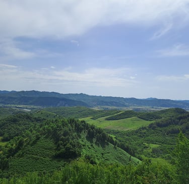 a view of a mountain range with a bench and a bench